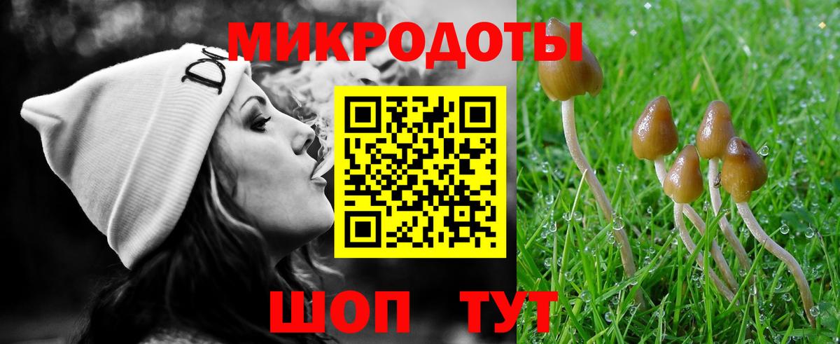 Псилоцибиновые грибы MAGIC MUSHROOMS  Вход с VPN  Саки 