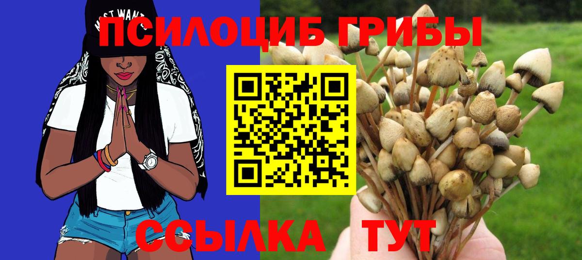 Псилоцибиновые грибы Cubensis Саки